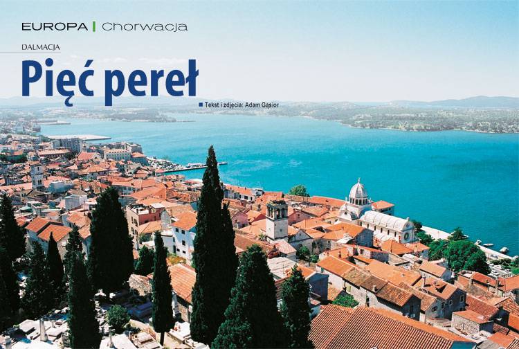 Losowy darmowy artykuł